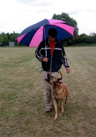velst1