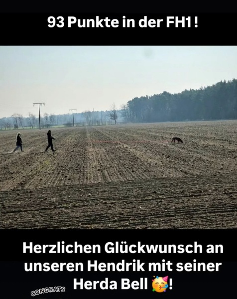 Hen-FH